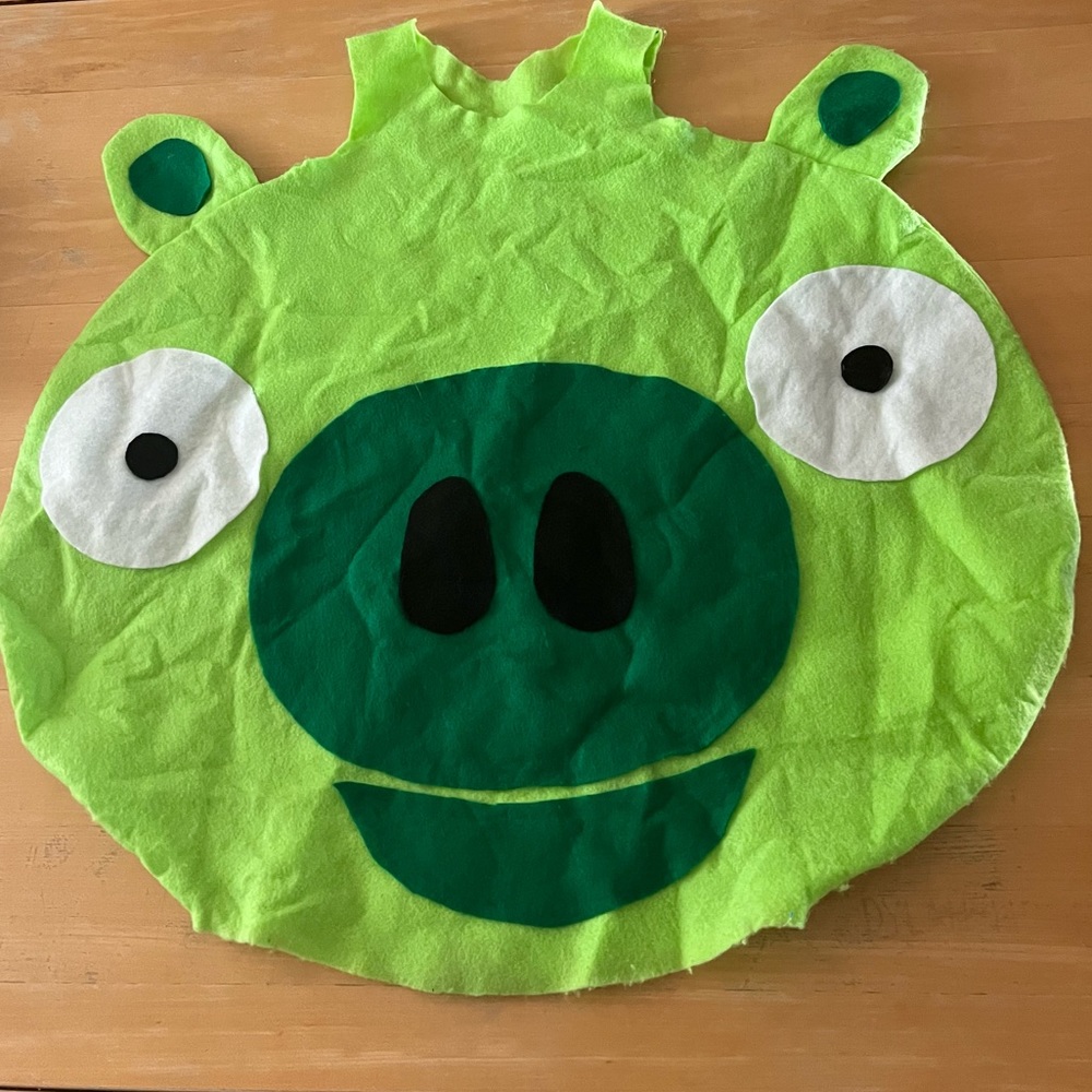 Angry bird: Pig Costume